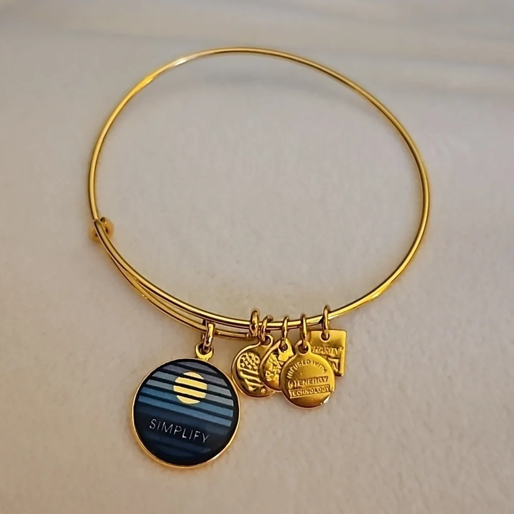 ALEX & ANI Simplify Charm Slider Bangle Bracelet